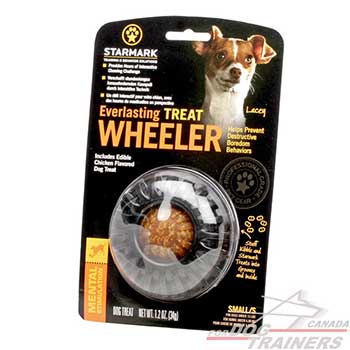 Small Dog Toy for Overactive dogs