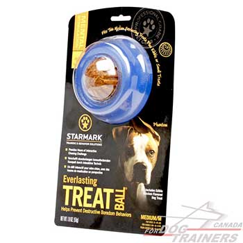 Medium Dog Toy for Better Hygiene