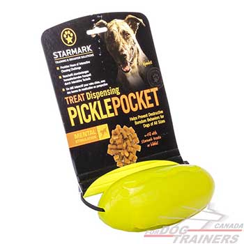 Special rubber toy for medium and large dog breeds