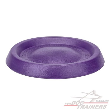 Dog Flying Disk for active dogs