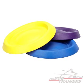 Dog-safe entertaining toys