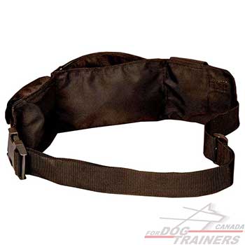  Nylon Pouch with Adjustable Belt