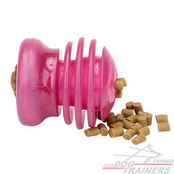 Dog Treat Dispenser will prolong your pet’s mealtime