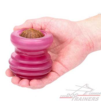 Dog ball for Interactive Games