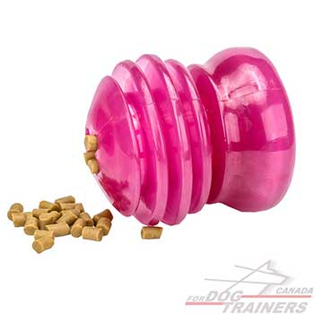 Dog Treat Dispenser to prolong your pet’s mealtime