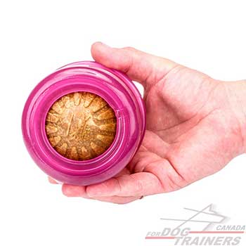 Dog Ball for Interactive Games of Large Size