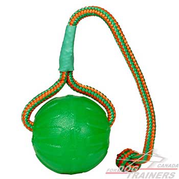 Special rubber water floating dog ball