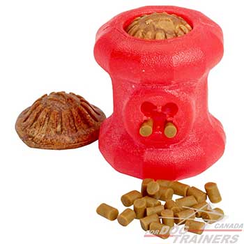 Quality Dog Ball Interactive Chew Toy 
