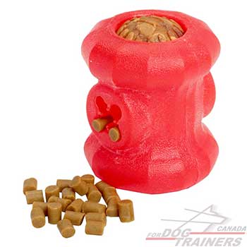 Quality Dog Ball Chew Toy 