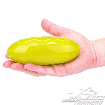 Cool Games with Chewing Toy that Holds Small Treats