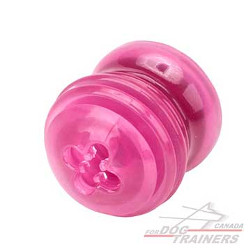 Small Dog Toy for Overactive dogs