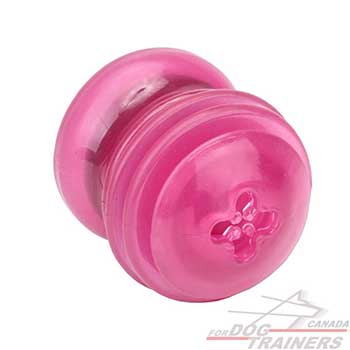 Medium Dog Toy for Overactive dogs