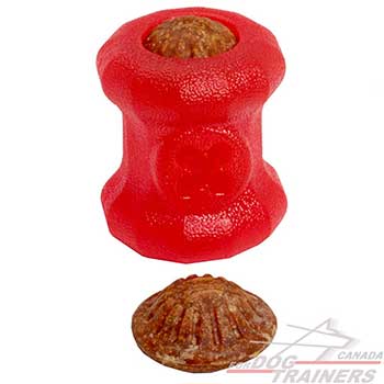 Dog treat holder will prolong your pet’s mealtime