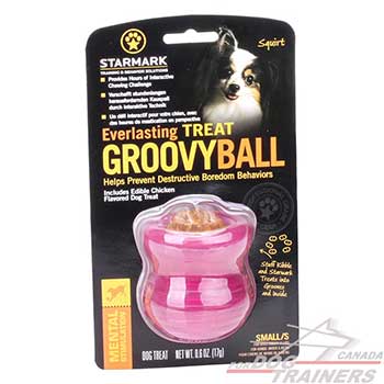 Dog Treat Dispenser will prolong your pet’s mealtime