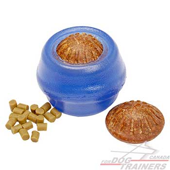 Dog Treat Dispenser for Chewing