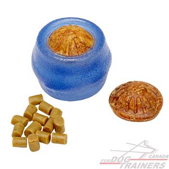 Dog Treat Dispenser for Chewing