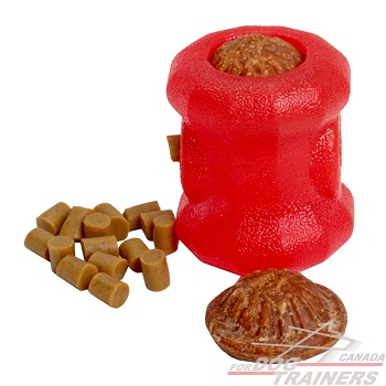 Durable Chew Dog Treat Holder