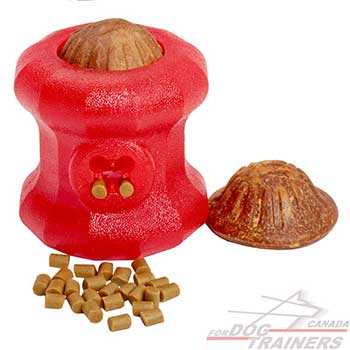 Dog toy for food dispensing