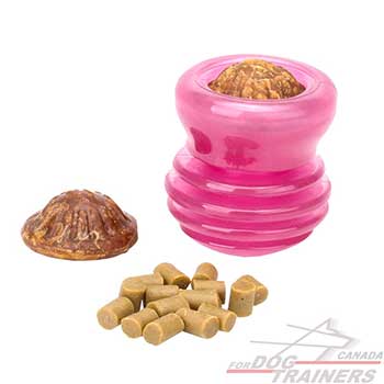 Special rubber toy for food dispensing