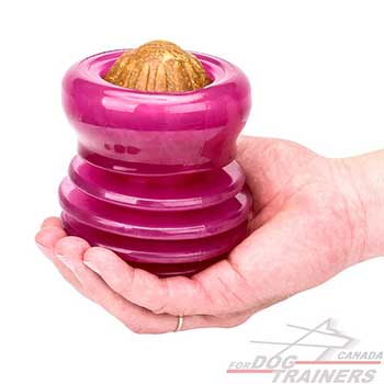 Large Dog Toy for Overactive dogs