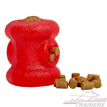 Dog Treat Holder for Your Pet
