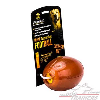 Special rubber entertaining dog toy of large size