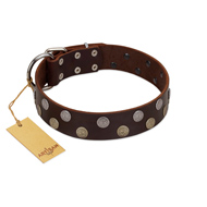 "Shadow Warrior" FDT Artisan Mystic Brown Leather dog Collar with Runes