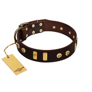 "Lord of Dogs" FDT Artisan Brown Leather dog Collar with Old Bronze-like Dotted Studs and Tiles