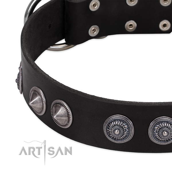 Extraordinary full grain genuine leather dog collar with corrosion resistant hardware