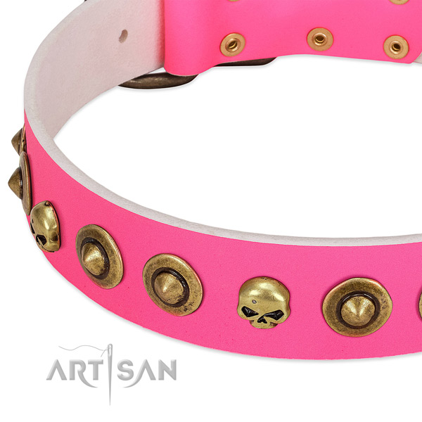 Stylish decorations on leather collar for your dog