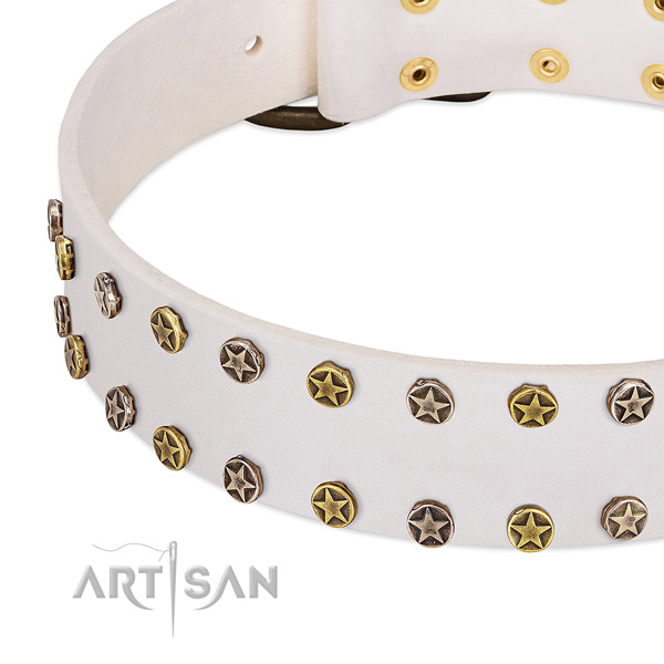 Top notch decorations on full grain leather collar for your four-legged friend