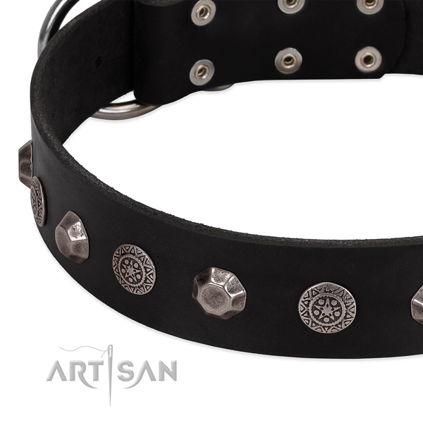 Decorated genuine leather dog collar for daily use