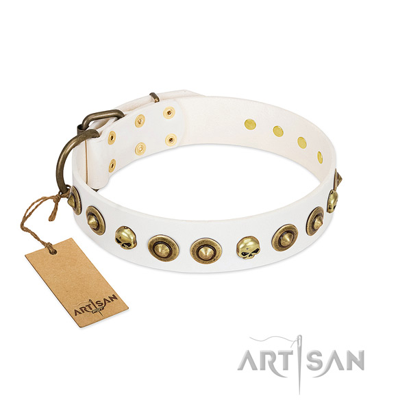 Genuine leather collar with unusual studs for your canine