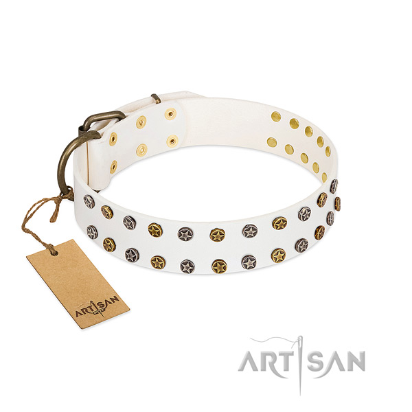 Impressive natural leather dog collar with strong decorations
