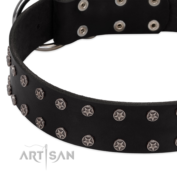 Reliable natural leather dog collar with decorations for your pet