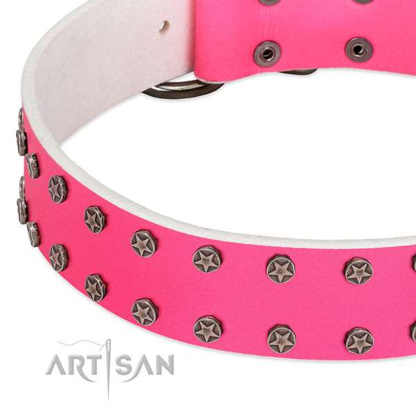 Quality natural leather dog collar with studs for your dog