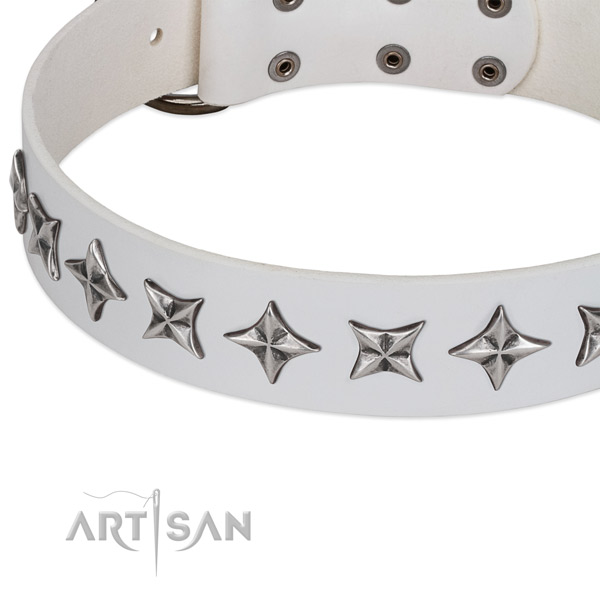 Daily walking embellished dog collar of quality full grain genuine leather