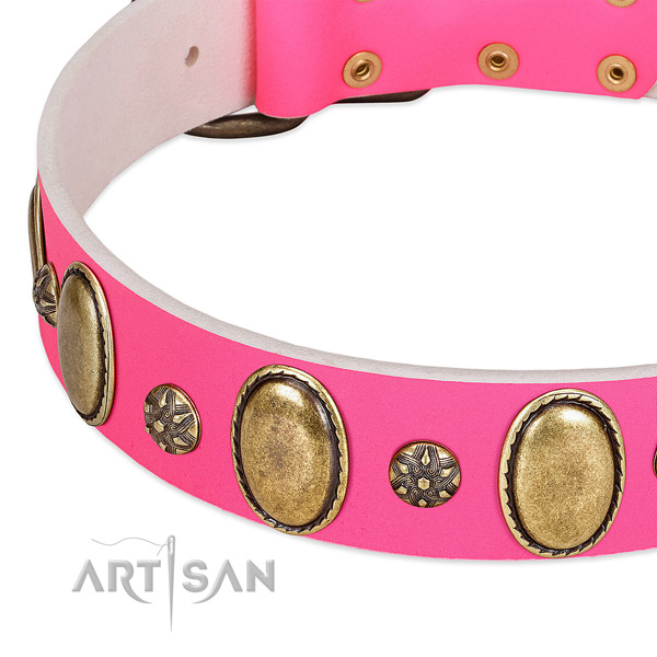 Quality full grain leather dog collar with reliable D-ring