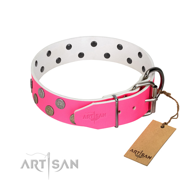 Strong traditional buckle on full grain genuine leather dog collar for walking