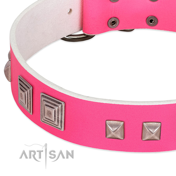 Full grain natural leather dog collar of high quality material with exceptional embellishments