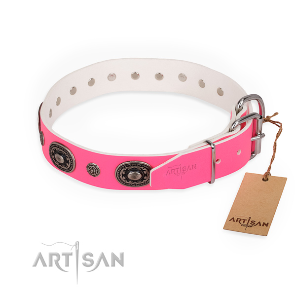 Daily use designer dog collar with corrosion resistant fittings