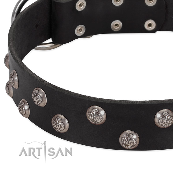 Full grain natural leather dog collar with corrosion proof buckle and adornments