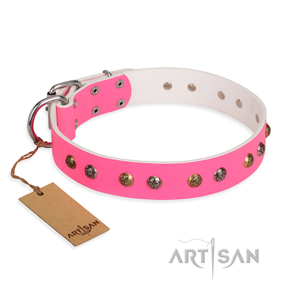 Daily use incredible dog collar with reliable hardware