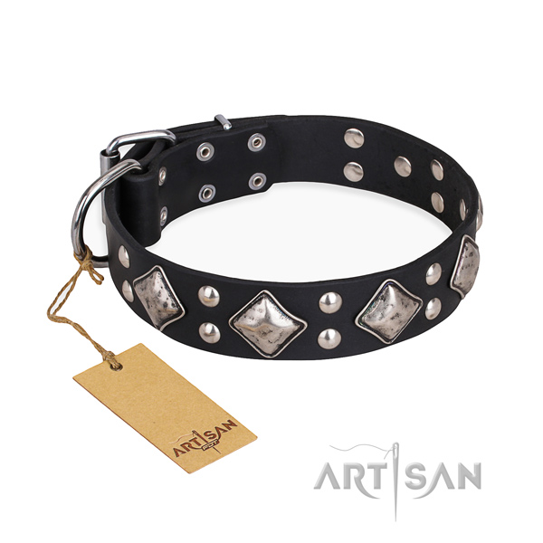Daily use incredible dog collar with reliable hardware