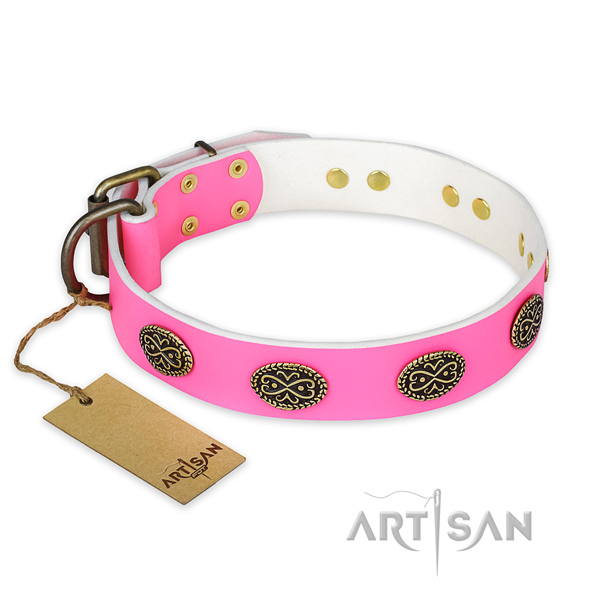 Fashionable full grain natural leather dog collar for everyday walking