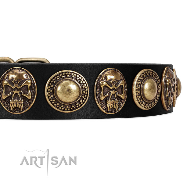 Full grain natural leather dog collar with studs for comfortable wearing