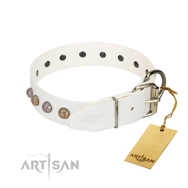 Stylish walking top notch full grain leather dog collar