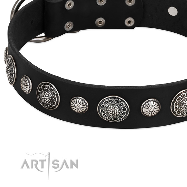Leather collar with reliable fittings for your beautiful doggie
