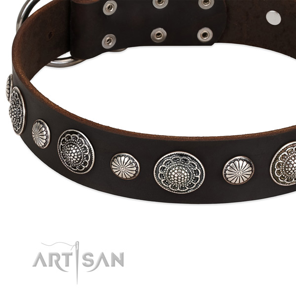 Natural leather collar with reliable fittings for your lovely four-legged friend