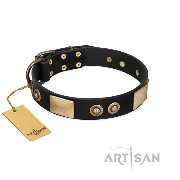 Easy adjustable genuine leather dog collar for walking your pet
